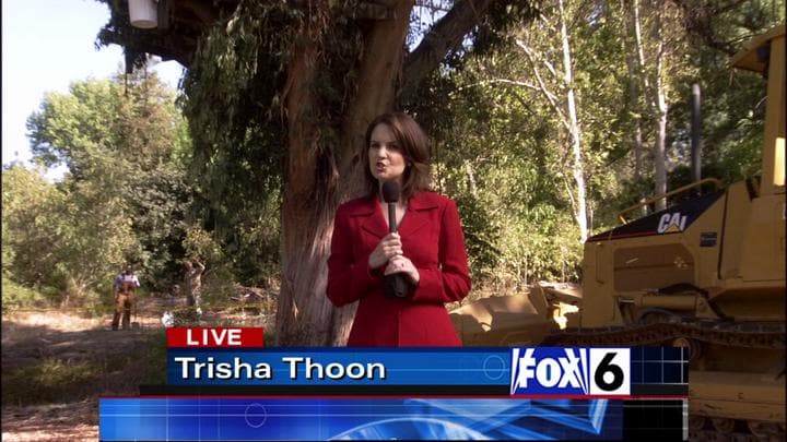 We go to Trisha Thoon for more.