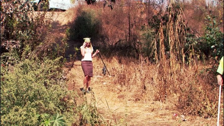 - Hello.  - I'm in the wetlands.