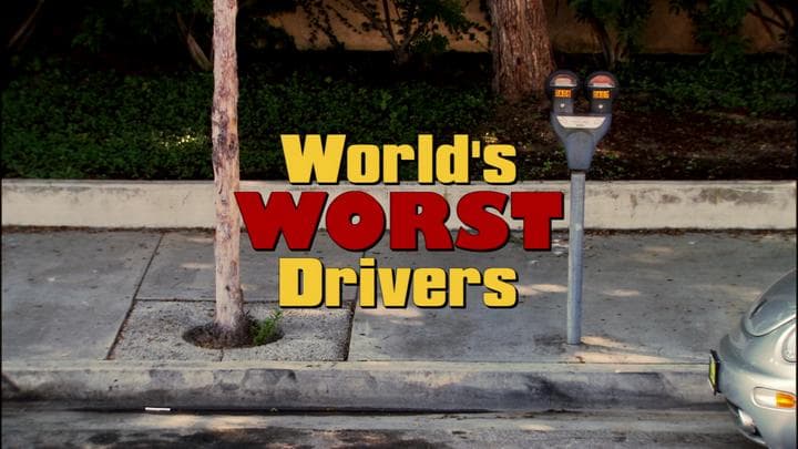 Lucille had recently been featured on  Fox's World's Worst Drivers.