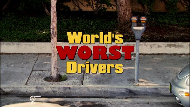 Lucille had recently been featured on  Fox's World's Worst Drivers.