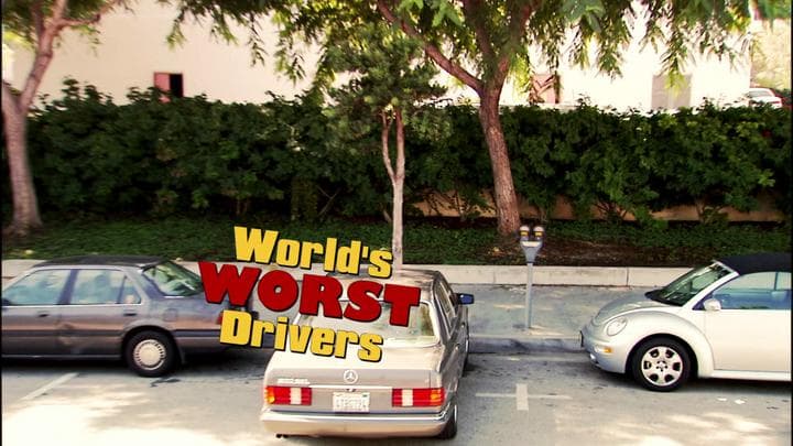 Lucille had recently been featured on  Fox's World's Worst Drivers.