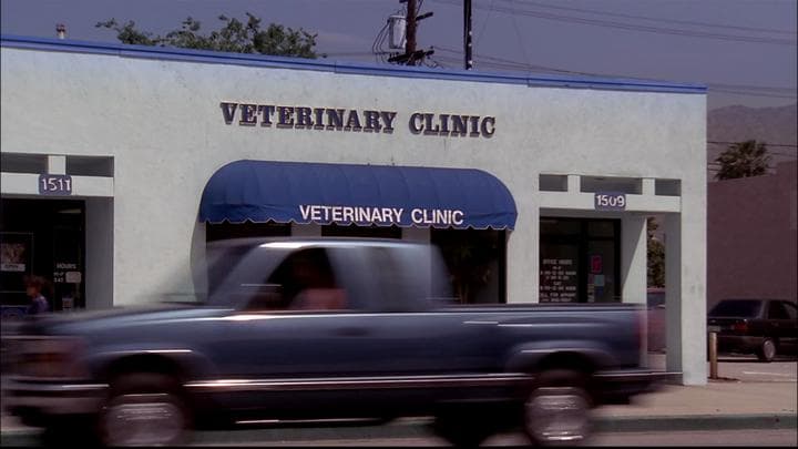 - And Michael was at the vet's office.  - Justice is fine.