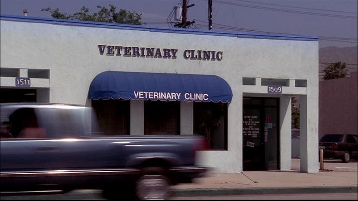 - And Michael was at the vet's office.  - Justice is fine.