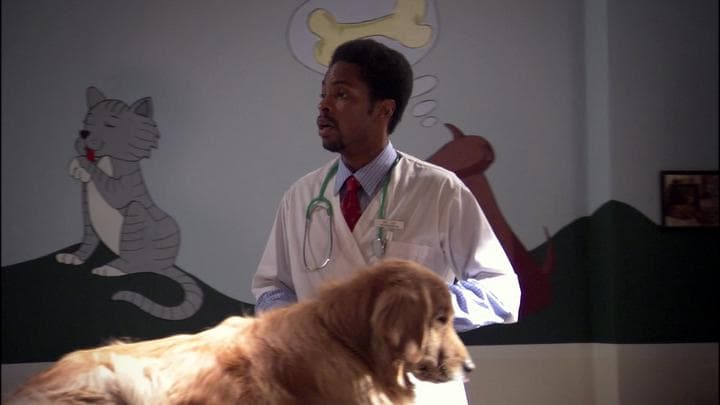 - And Michael was at the vet's office.  - Justice is fine.