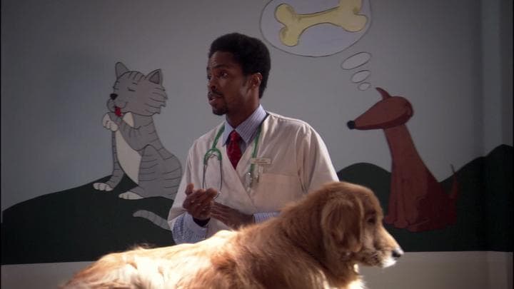 - And Michael was at the vet's office.  - Justice is fine.