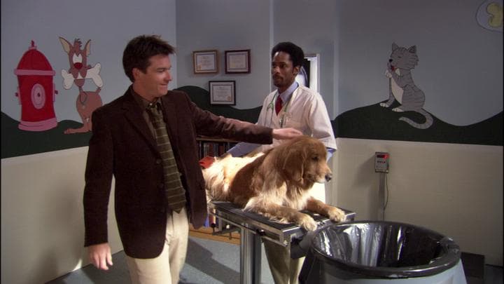 - Great.  - Although, dressing him up like a seeing-eye dog...