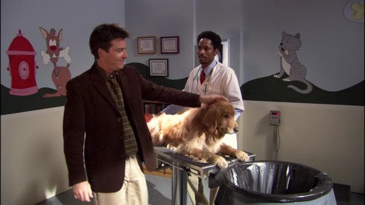 - Great.  - Although, dressing him up like a seeing-eye dog...