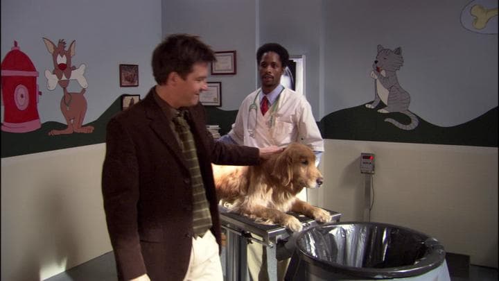 - Great.  - Although, dressing him up like a seeing-eye dog...