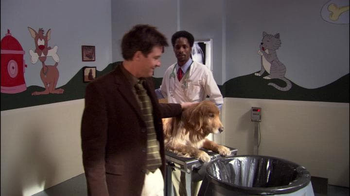 - Great.  - Although, dressing him up like a seeing-eye dog...