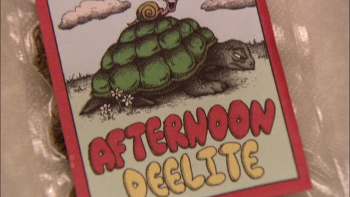 named Afternoon Deelite,  a strain famous for slowing behavior.