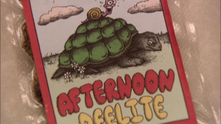 named Afternoon Deelite,  a strain famous for slowing behavior.