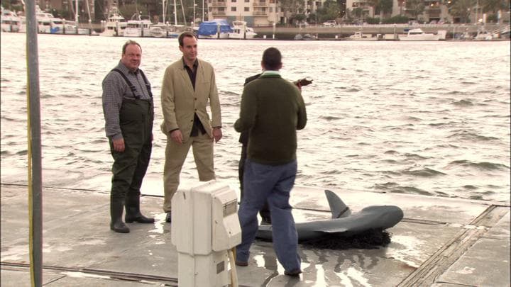 Oh, I'm so sorry. False alarm.  What they tracked down was a shark...