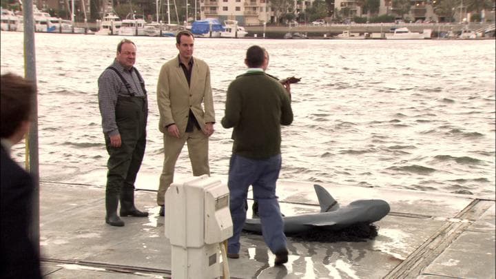 Oh, I'm so sorry. False alarm.  What they tracked down was a shark...