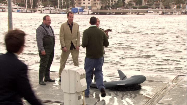 Oh, I'm so sorry. False alarm.  What they tracked down was a shark...