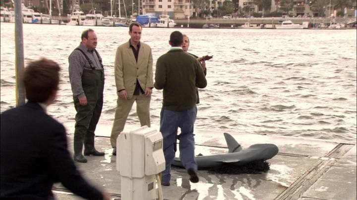 Oh, I'm so sorry. False alarm.  What they tracked down was a shark...