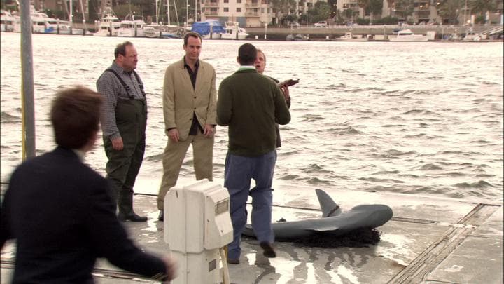 Oh, I'm so sorry. False alarm.  What they tracked down was a shark...