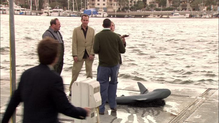 Oh, I'm so sorry. False alarm.  What they tracked down was a shark...