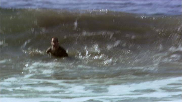 It had happened weeks earlier when Buster  went swimming in the ocean...