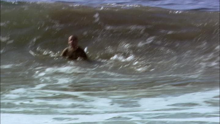 It had happened weeks earlier when Buster  went swimming in the ocean...